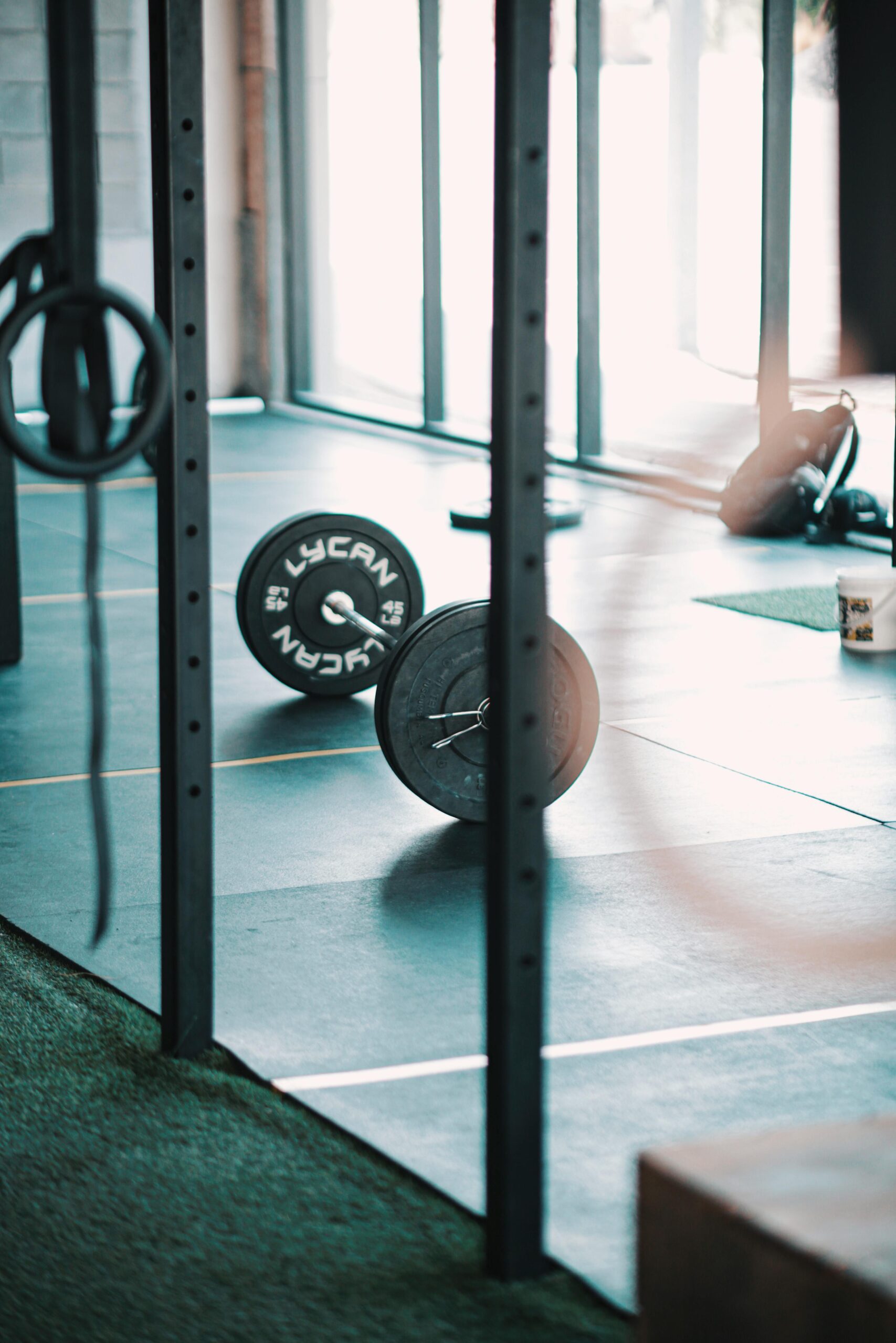 The Olympic Barbell: How to Choose Your Lifelong Training Partner